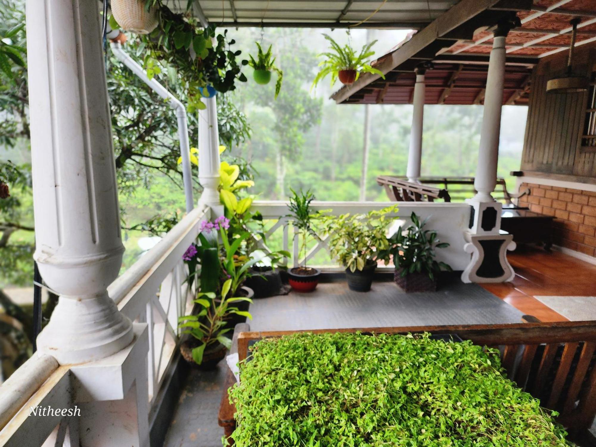 Kairali Palace Home Stay Thekkady Bagian luar foto